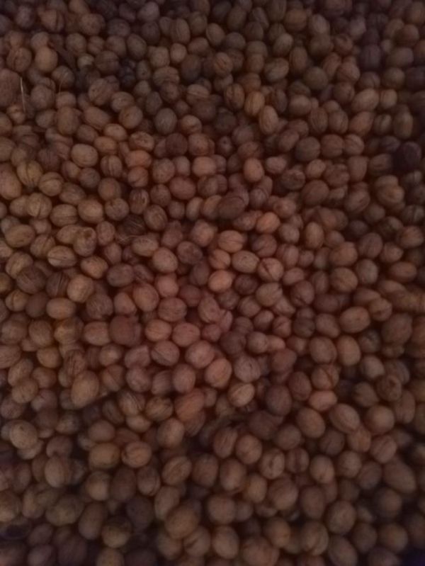 Волоський горіх кругляк нечищений